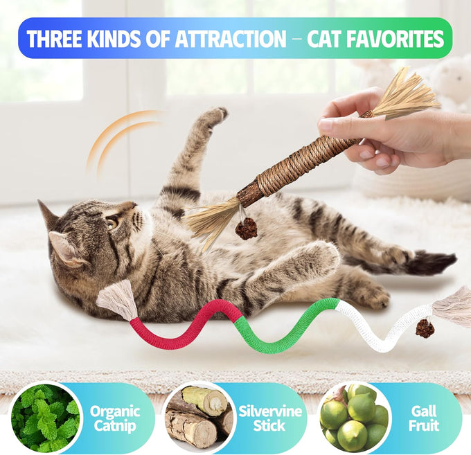 GBSYU 6Pcs Silvervine Cat Chew Rope & Sticks, Refillable Catnip Bag for Teeth Cleaning and Stress Relief