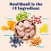 Solid Gold Sensitive Stomach Dry Cat Food, Grain Free, Gluten Free, Quail, Probiotics, 6lb