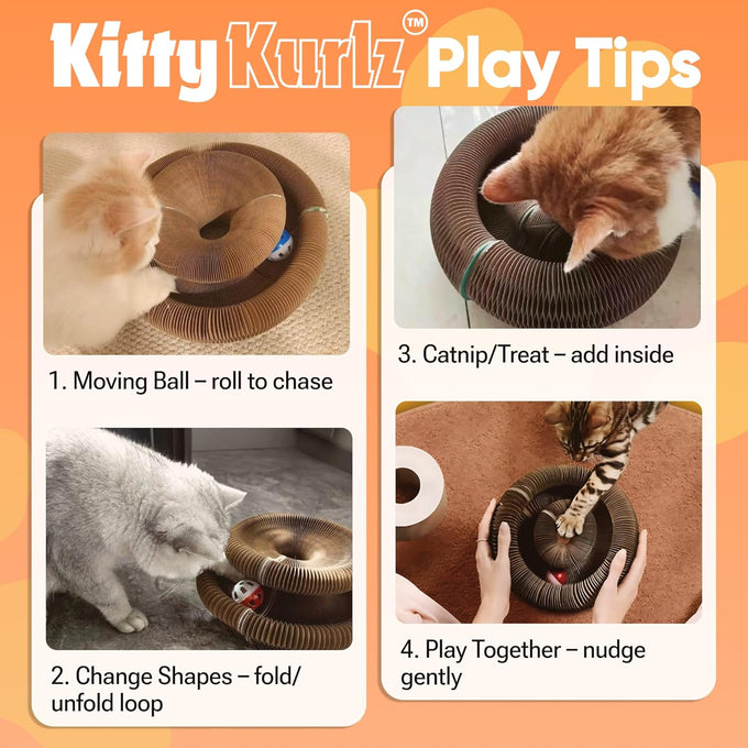Kitty Kurlz 3-in-1 Cat Toy & Scratcher, Collapsible Ball Track with Bell, Reversible Cardboard Lounge for Indoor Cats