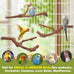 3PCS bird perch grape stick natural 100% safe non-toxic wild grapevine budgies cockatiels lovebirds