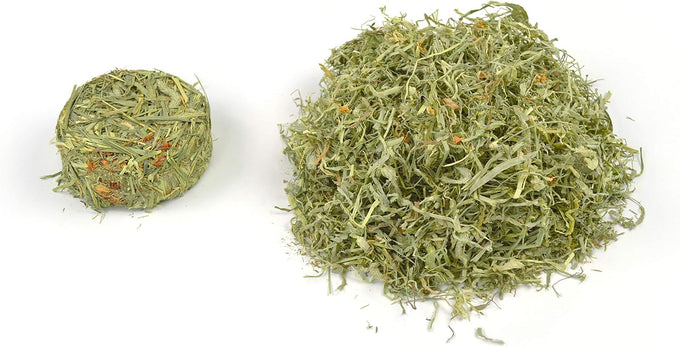 Oxbow Harvest Stacks Timothy Hay with Carrots 35 oz Guinea Pig Hay for Small Pets
