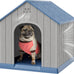 Bifanuo plastic dog house for small to medium dogs, weatherproof design, air vents, elevated floor, easy clean and assemble in blue, 26.18'' L x 24.03'' W x 25.98'' H