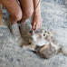 OurPets Teathered & Feathered Play Wand Cat Toy for All Breed Sizes with Real Bird Chirping Sound and Cosmic Catnip
