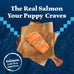 Blue Buffalo Wilderness High-Protein Natural Dry Food for Puppies, Salmon Recipe, 4.5-lb. Bag