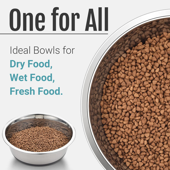 pegyy11 nonslip stainless steel dog and cat bowls, 2 us cups, 2 count, dishwasher safe