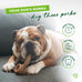 Benebone ring Durable USA made Medium Real Bacon Dog Chew Toy for Aggressive Chewers