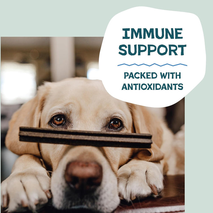 Shameless Pets Blueberry & Mint Dental Chews for Dogs, 32-piece Grain-Free Dental Sticks with Fresh Breath Benefits
