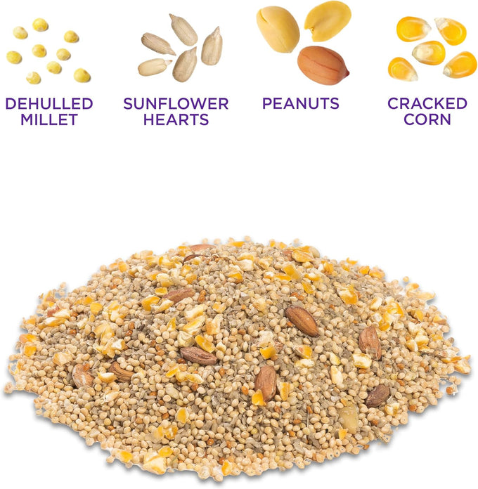 Audubon Park 12228 No-Waste Wild Bird Food Blend, 5-Pound, Gourmet Mix, Hull-Free, American Made