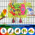 KATUMO Large-Sized Grass Mat with Colorful Parrot Foraging Shredder Hanging Toys for Conure Birds