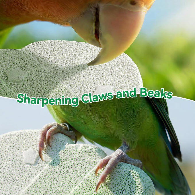 2-pack Bird Beak Grinding Stone Parrot Perch for Cage Accessories