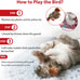 GiGwi Squeaky Bird Cat Toy with Feather Tail, Melody Chaser Play for Boredom, Realistic Bird Design
