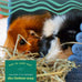Oxbow Western Timothy Hay for Small Pets - High Fiber for Digestive Health and Dental Support - 40 oz Bag - All-Natural Grass Hay for Rabbits Guinea Pigs Chinchillas