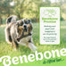 Benebone Wishbone Durable Dog Chew Toy, Medium, Real Bacon, Made in USA for Aggressive Chewers