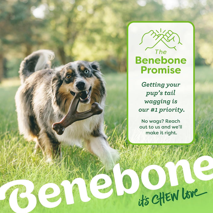 Benebone Wishbone Durable Dog Chew Toy, Medium, Real Bacon, Made in USA for Aggressive Chewers