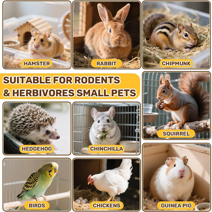 Sukh Natural Botanical Rabbit Treats for Guinea Pigs and Hamsters - 160g Mix of Freeze Dried Fruits, Vegetables, and Flowers