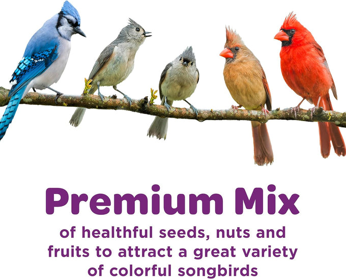 kaytee 5lb premium wild bird seed blend for songbirds, cardinals, chickadees and more