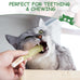 Nocciola 3 pack catnip toys for cats, funny cat toys with 100% pure organic catnip, safe kitten teething chew and kicker toys