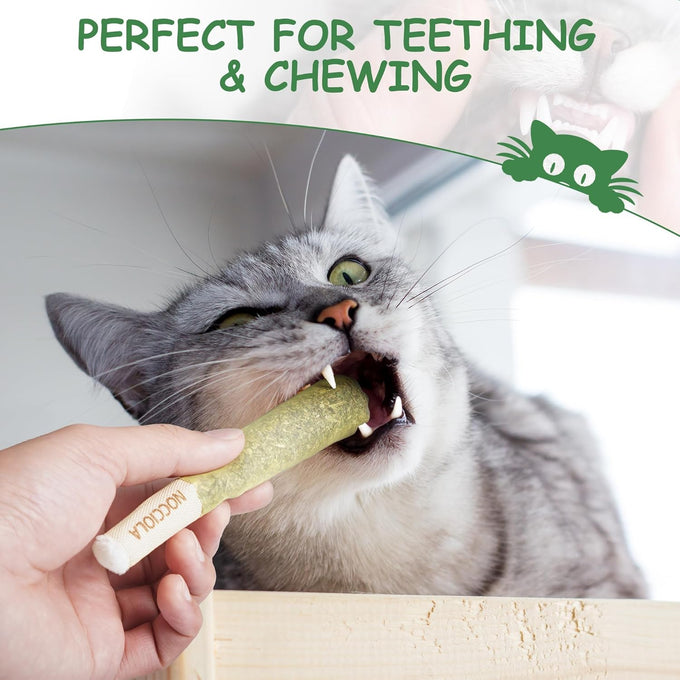 Nocciola 3 pack catnip toys for cats, funny cat toys with 100% pure organic catnip, safe kitten teething chew and kicker toys