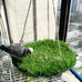 flidrunest large bird foraging mat toys natural bird grass hammock swing toy with hooks climbing perch hanging toy for parakeets and parrots