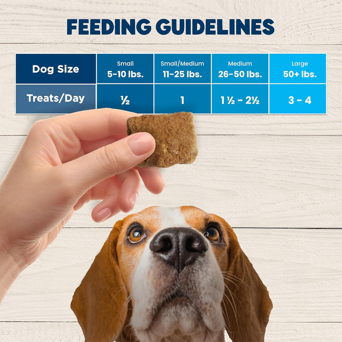 Blue Buffalo BeneBars Digestive Support Dog Treats USA Chicken and Apple, 9-oz Bag