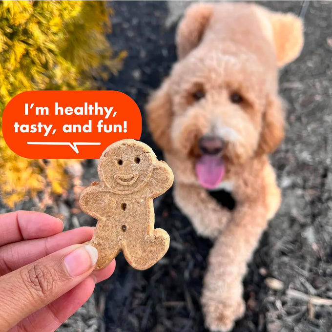 Buddy Biscuits crunchy peanut butter dog treats, 2-pound bag, whole grain, USA made