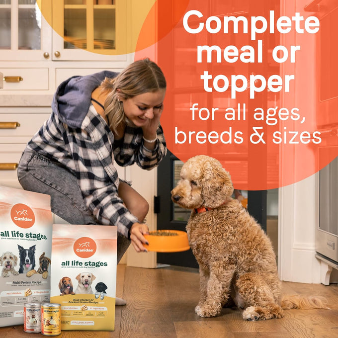 Canidae All Life Stages Premium Wet Dog Food, Chicken & Rice, 13 oz (6 Pack)