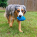 eastblue rubber puppy chew ball for medium and large breed aggressive chewers with squeaker