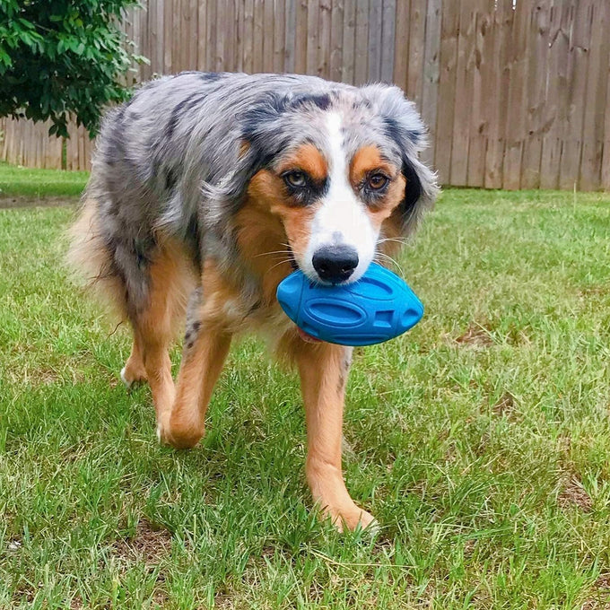 eastblue rubber puppy chew ball for medium and large breed aggressive chewers with squeaker