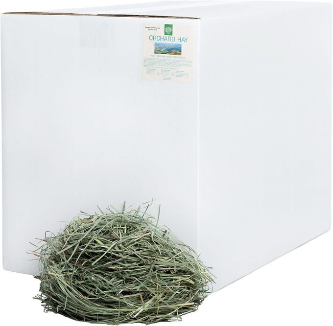Small Pet Select premium US-grown orchard grass hay for rabbits, guinea pigs, and chinchillas, 10 LB bag