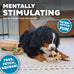 Outward Hound Hide-A-Squirrel 2-in-1 Plush Puzzle Dog Toy with 6 Squeaky Removable Squirrels, X-Large