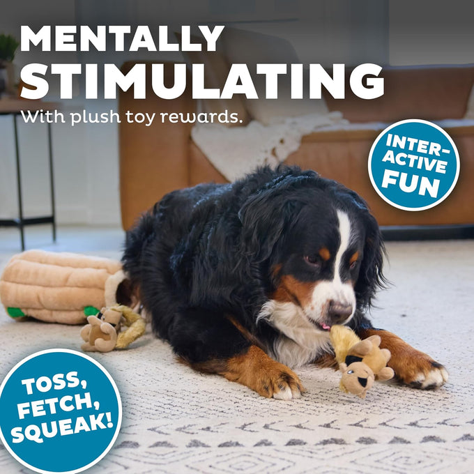 Outward Hound Hide-A-Squirrel 2-in-1 Plush Puzzle Dog Toy with 6 Squeaky Removable Squirrels, X-Large