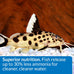 API Bottom Feeder Pellets with Squid Fish Food 4.0-Ounce Container for Optimal Nutrition
