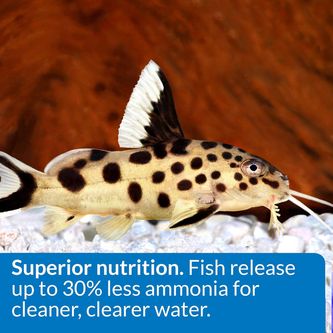 API Bottom Feeder Pellets with Squid Fish Food 4.0-Ounce Container for Optimal Nutrition