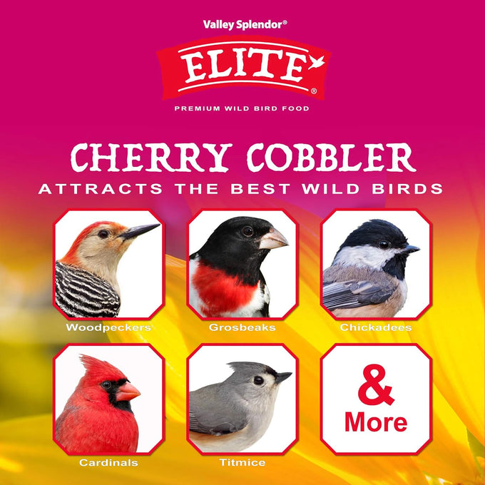Cherry Cobbler Premium Bird Feed Blend with Sunflower Kernels, Peanuts, and Safflower Seeds for Attracting Multiple Bird Species