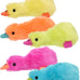 Duckworth duck mini assorted colors 4 inches pack of 1 single unit