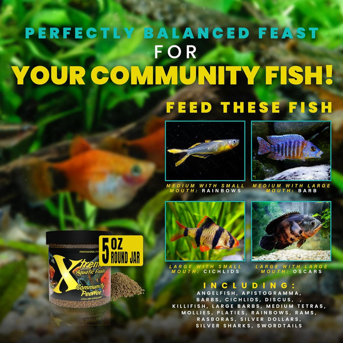 Xtreme Xtreme Community Peewee 1.5mm Pellets: USA Farm Grown, Slow Sinking for Community Fish, 5oz