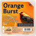 Heath Outdoor Products Orange Burst Suet Cake - 10-pack for year-round bird feeding