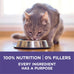Natural adult dry cat food for hairball control with real chicken, high-protein recipe and crunchy kibble.