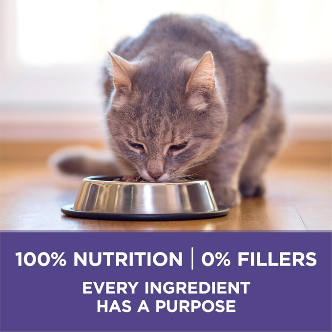 Natural adult dry cat food for hairball control with real chicken, high-protein recipe and crunchy kibble.