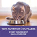 Purina ONE Natural Cat Food for Hairball Control, +PLUS Hairball Formula - 22 lb. Bag
