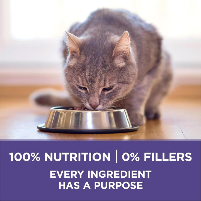 Purina ONE Natural Cat Food for Hairball Control, +PLUS Hairball Formula - 22 lb. Bag
