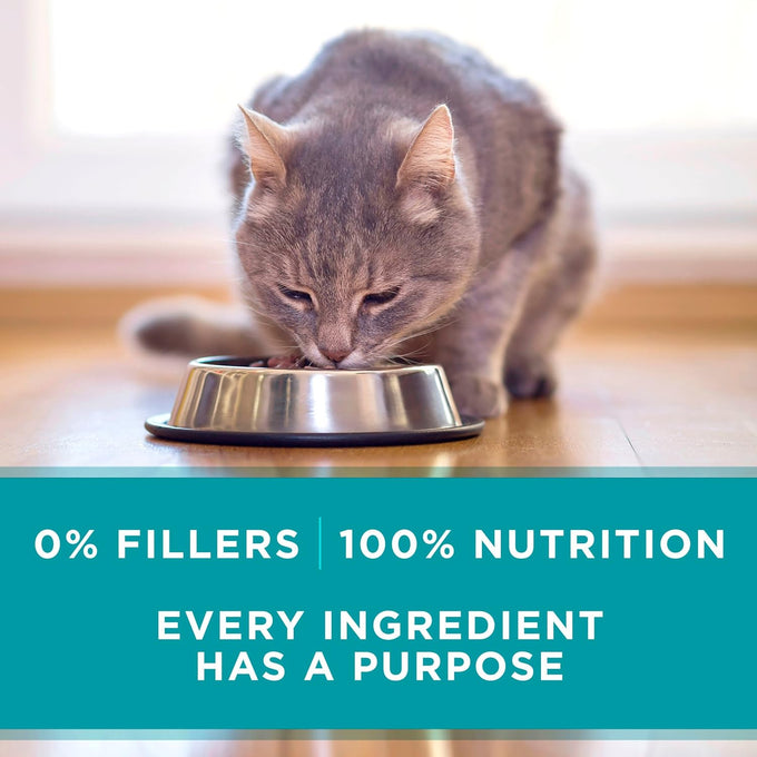 purina one natural high protein grain free wet cat food pate beef recipe pack of 24 3 oz pull top cans