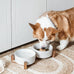 Le Tauci Acacia Wood Stand Dog Bowl Set with 1.5-Cup Ceramic Bowls for Small Dogs and Cats, Non-Slip Base