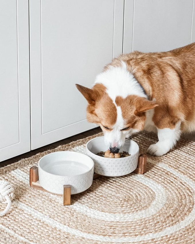 Le Tauci Acacia Wood Stand Dog Bowl Set with 1.5-Cup Ceramic Bowls for Small Dogs and Cats, Non-Slip Base
