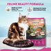 Addiction Duck Royale - 4lbs Cage-Free New Zealand Duck Recipe Grain-Free Dry Cat Food