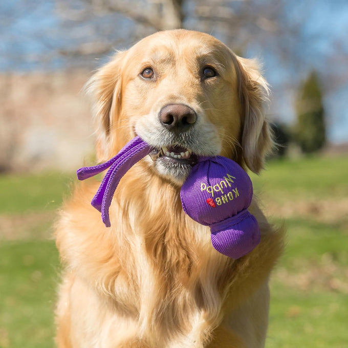 Kong Wubba Dog Toy for Tug of War & Fetch - Durable Nylon, Squeaker, for XL Dogs, Random Color