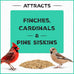Pennington Pride Wild Finch Blend, 10-lb. Bag, Year-Round Wild Bird Seed for Outdoor Feeders, Attracts Musical Songbirds