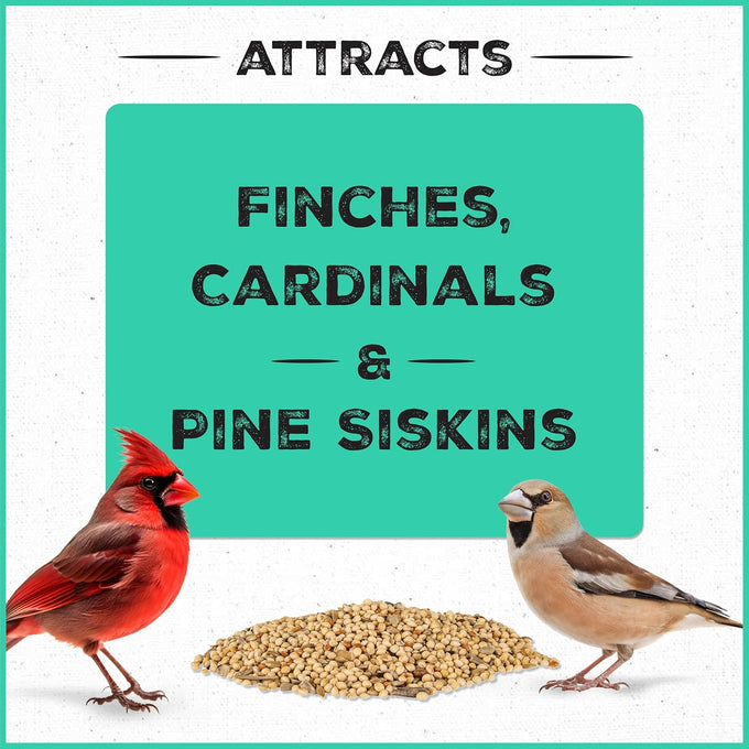 Pennington Pride Wild Finch Blend, 10-lb. Bag, Year-Round Wild Bird Seed for Outdoor Feeders, Attracts Musical Songbirds