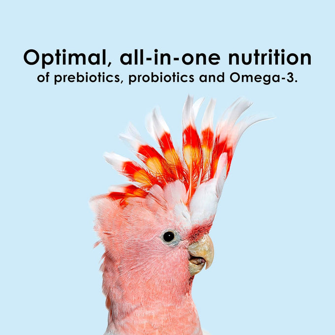 Kaytee Nutri Soft 3 Pound Pet Food for Macaw & Cockatoo Birds, Soft Texture, No Artificial Colors or Flavors