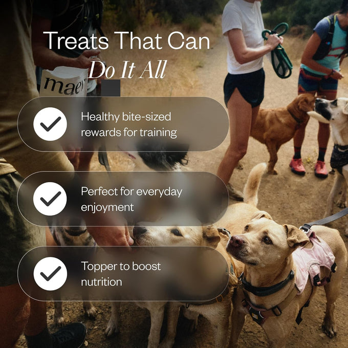 Maev 100% USDA Certified Single-Ingredient Freeze Dried Raw Beef Liver Dog Treats for Training & Sensitive Diets